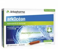 Arkocean Magnesium Marin Solution Buvable Caramel 20 Ampoules/10ml à BOURG-SAINT-MAURICE