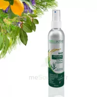Naturactive Assaini'spray 200ml à BOURG-SAINT-MAURICE